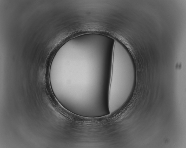 X0000090990627200708021204