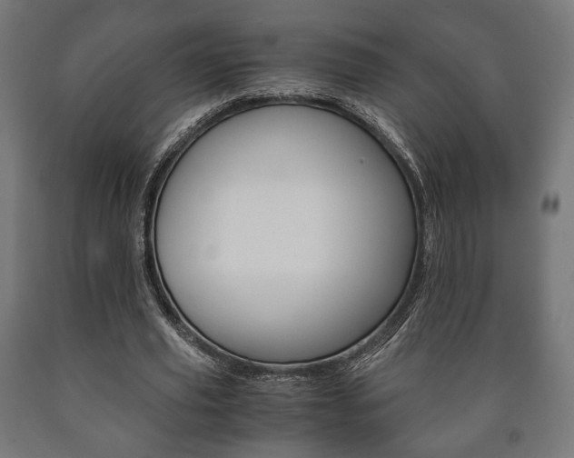 X0000090990629200708021204