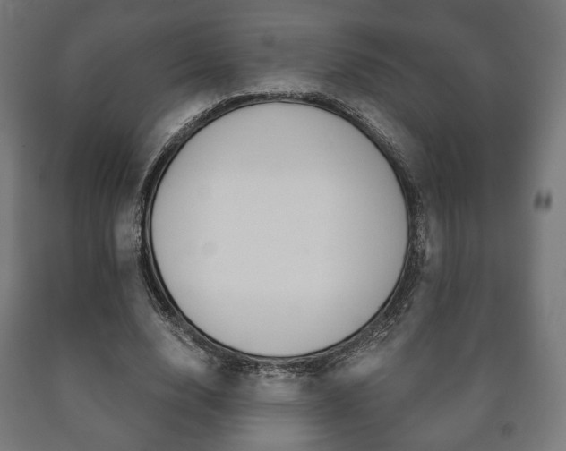 X0000090990632200708021204