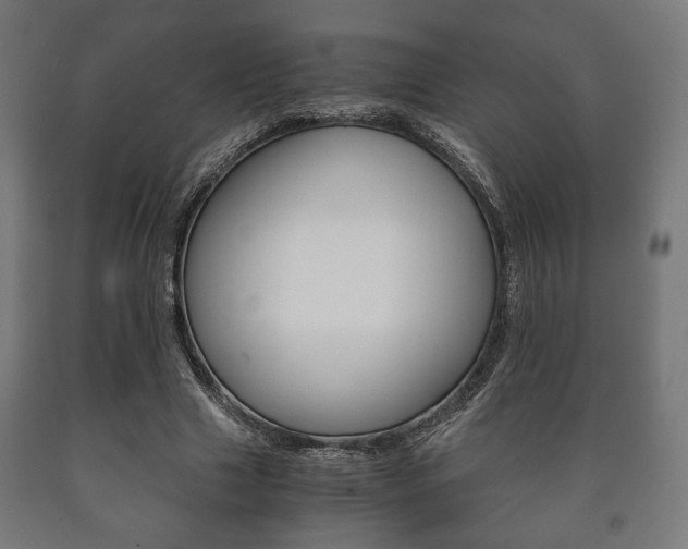 X0000090990633200708021204