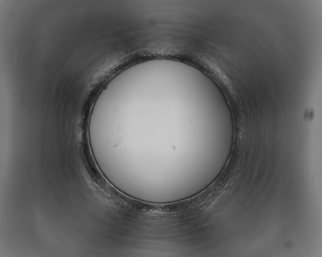 X0000090990635200708021204