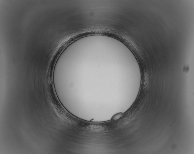 X0000090990636200708021204