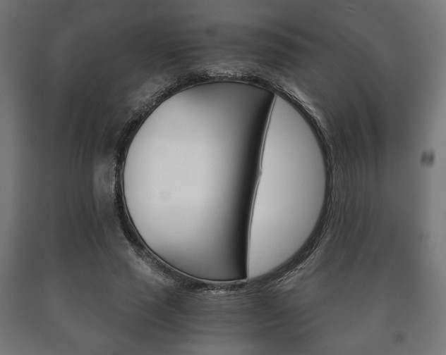 X0000090990637200708021204