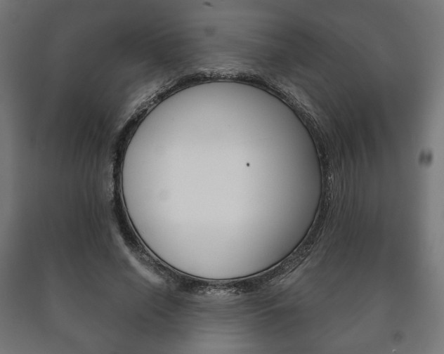 X0000090990638200708021204