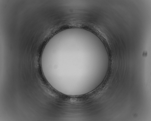 X0000090990641200708021204