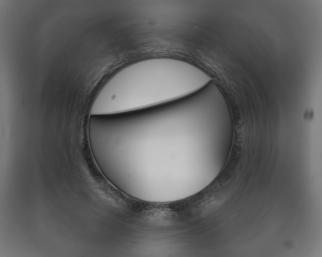 X0000090990642200708021204