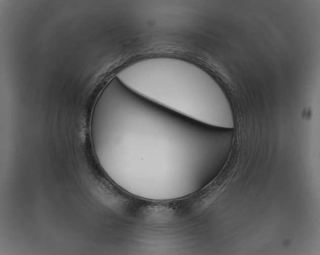 X0000090990644200708021204
