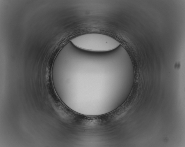 X0000090990646200708021204