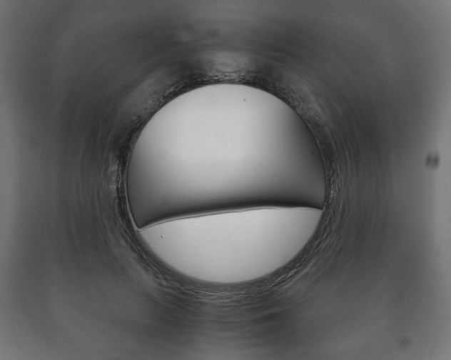 X0000090990647200708021204