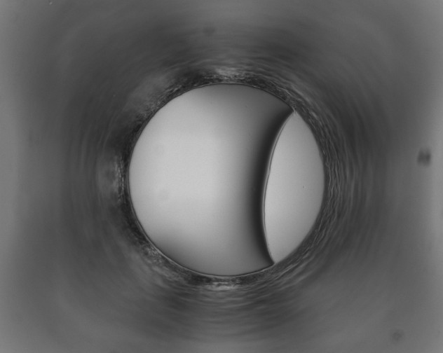 X0000090990651200708021205