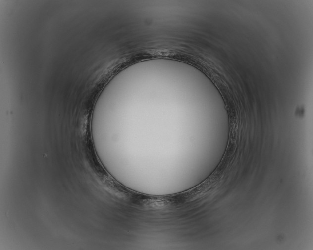 X0000090990652200708021205