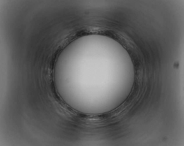 X0000090990653200708021205
