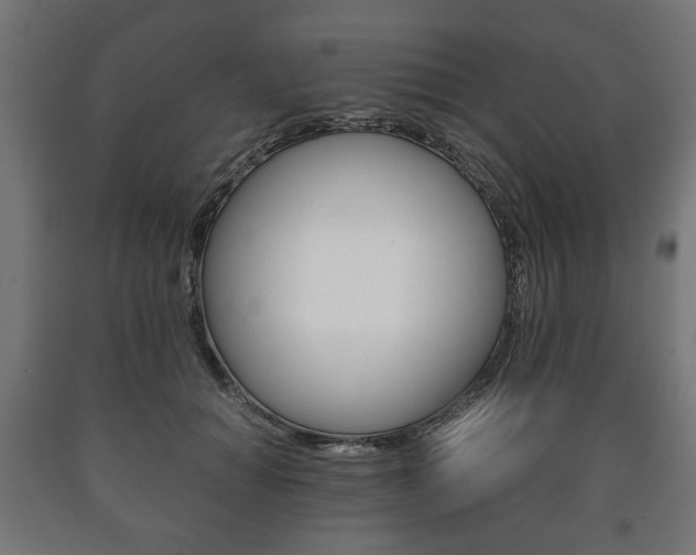 X0000090990654200708021205