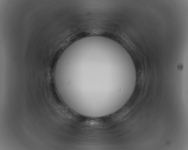 X0000090990655200708021205