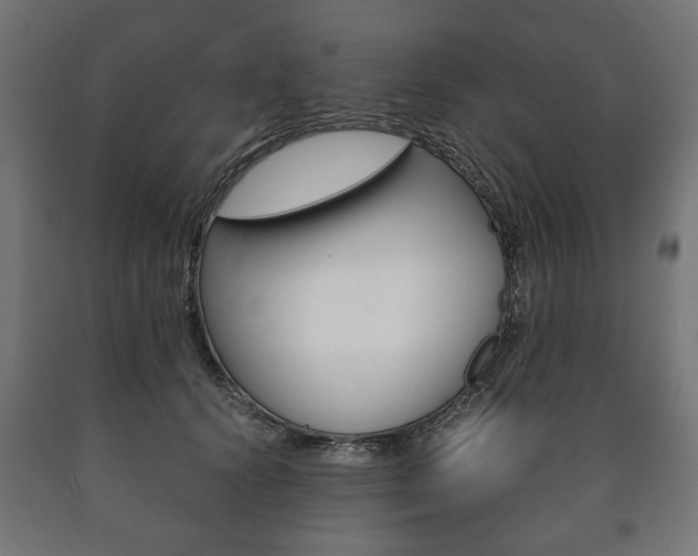 X0000090990656200708021205