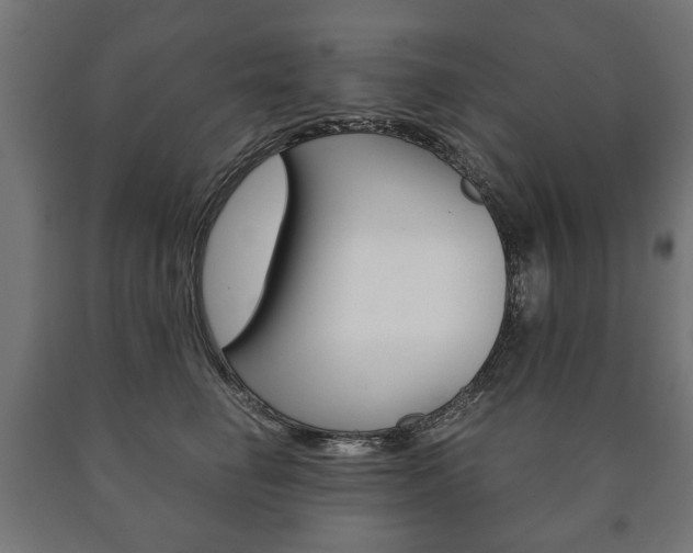 X0000090990662200708021205