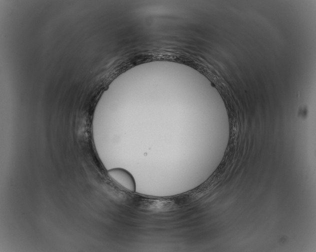 X0000090990663200708021205
