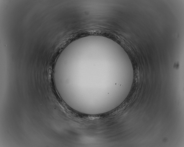 X0000090990664200708021205