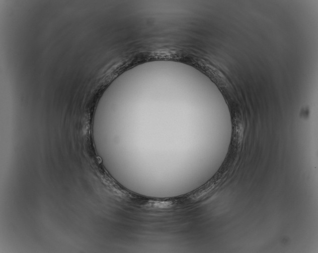 X0000090990665200708021205