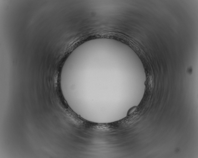 X0000090990668200708021205