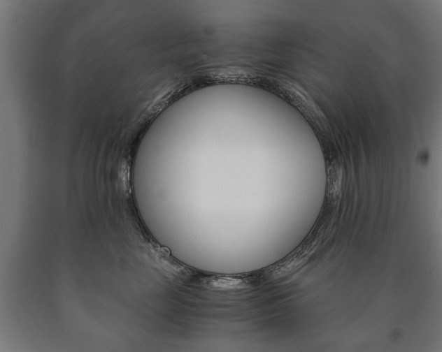 X0000090990669200708021205