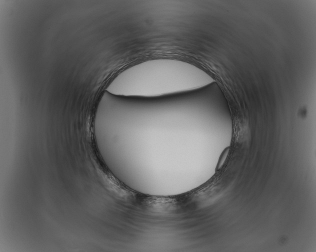 X0000090990670200708021205