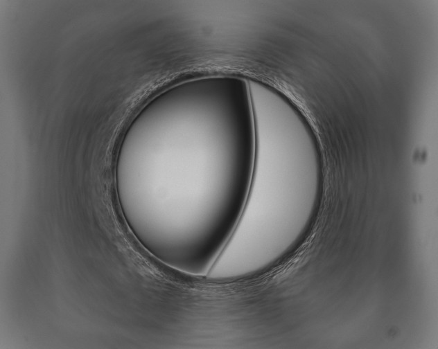 X0000090990673200708021204
