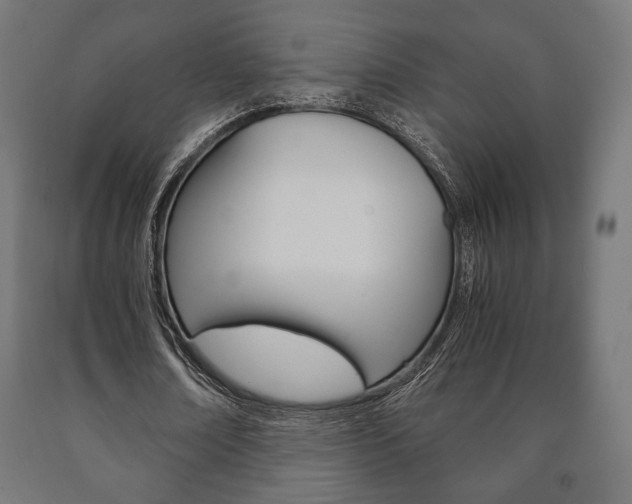X0000090990674200708021204
