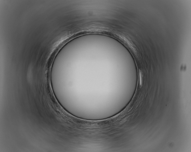 X0000090990675200708021204