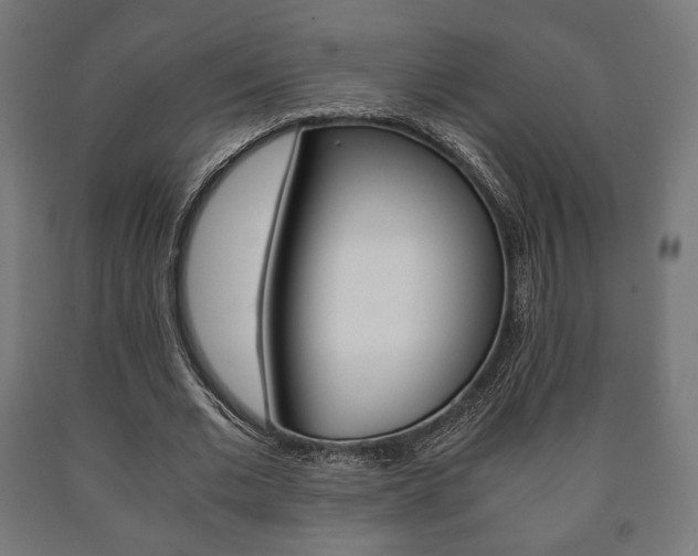 X0000090990677200708021204