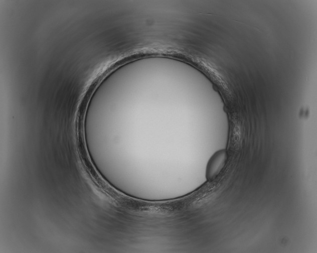 X0000090990678200708021204