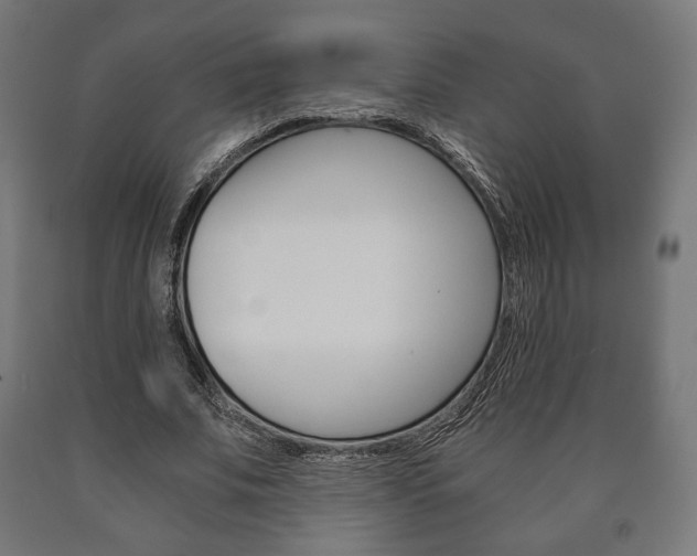 X0000090990679200708021204