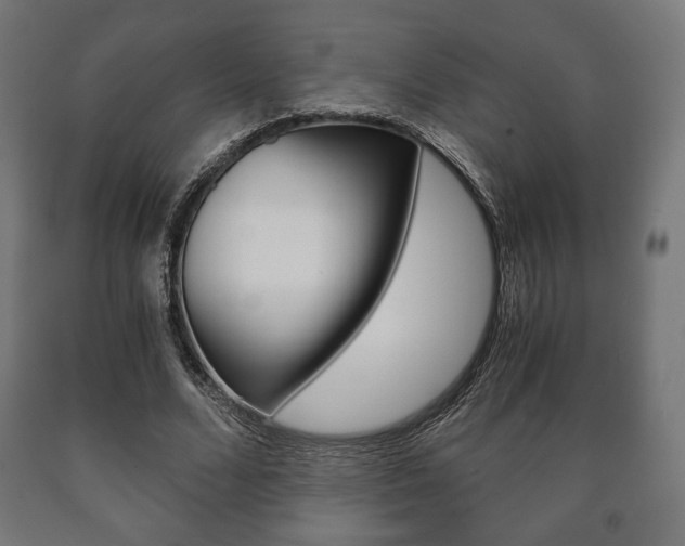 X0000090990680200708021204
