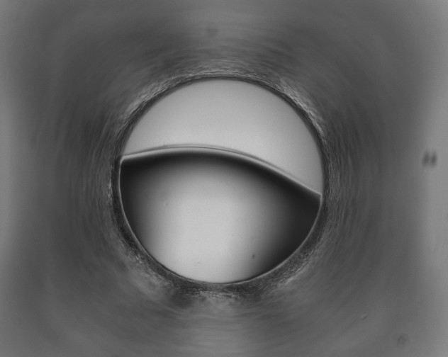 X0000090990681200708021204