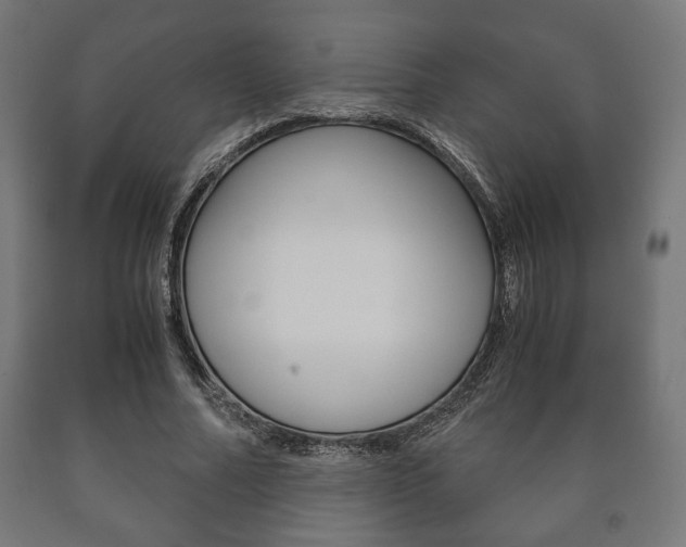 X0000090990682200708021204