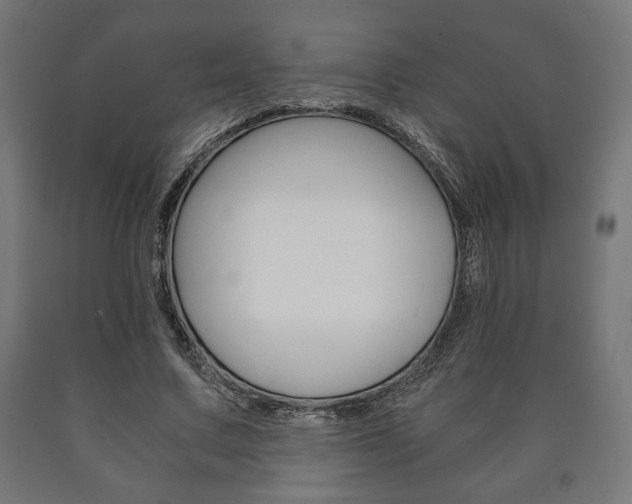 X0000090990683200708021204