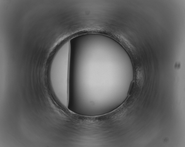 X0000090990684200708021204