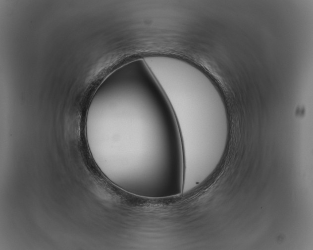 X0000090990685200708021204