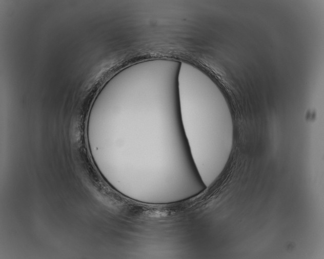 X0000090990687200708021204