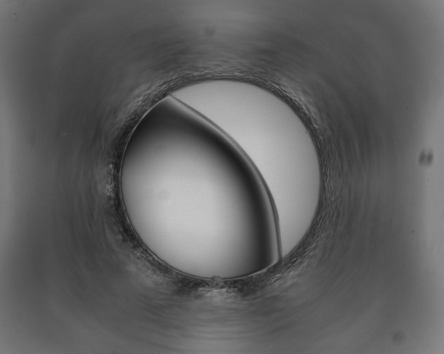 X0000090990689200708021204