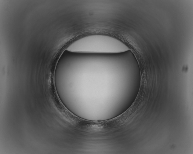 X0000090990692200708021204