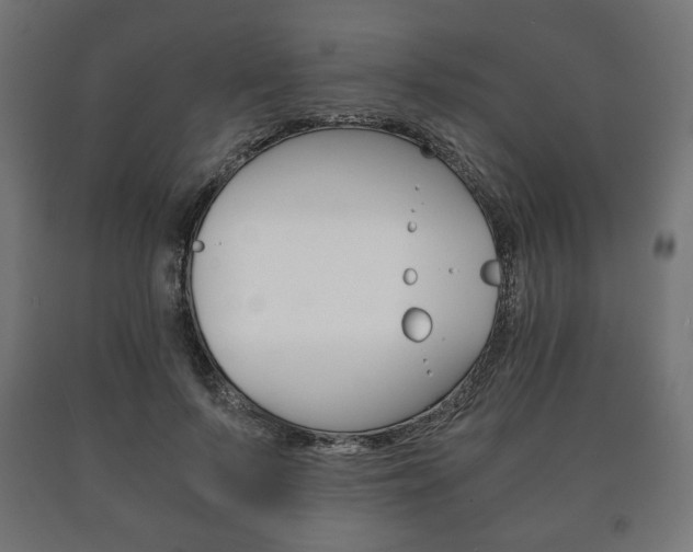 X0000090990695200708021204
