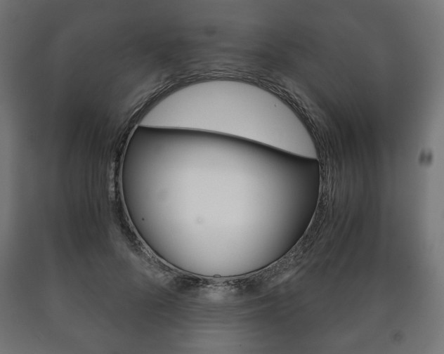 X0000090990696200708021204
