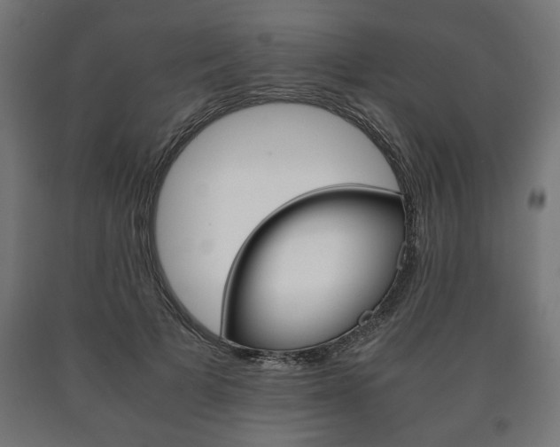 X0000090990697200708021204