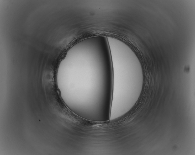 X0000090990700200708021204