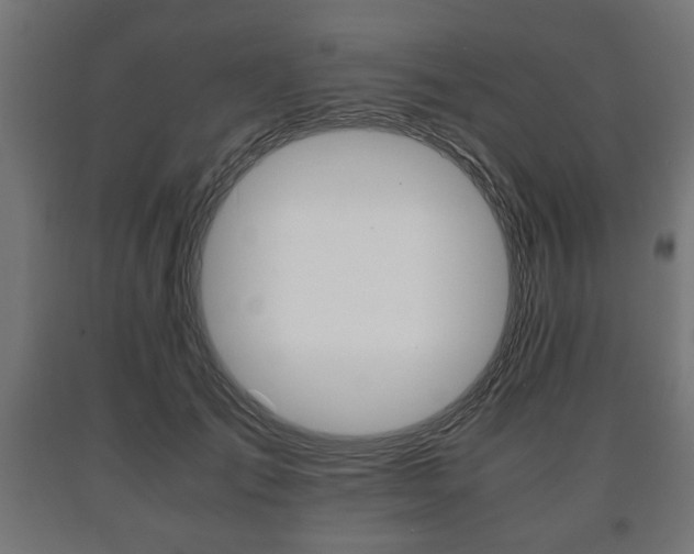 X0000090990701200708021204