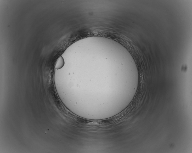 X0000090990703200708021204