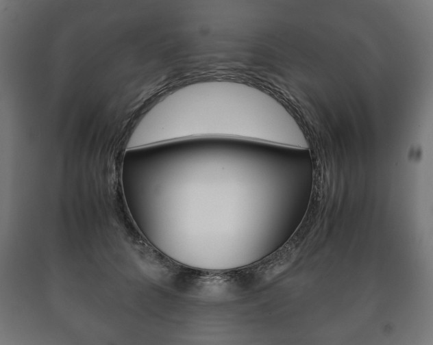 X0000090990704200708021204