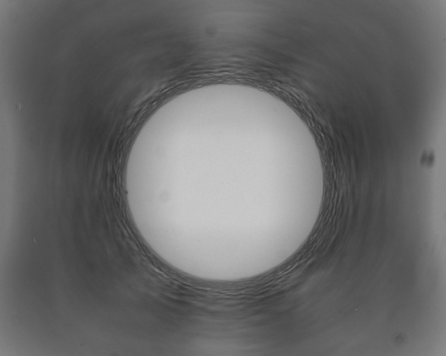 X0000090990705200708021204