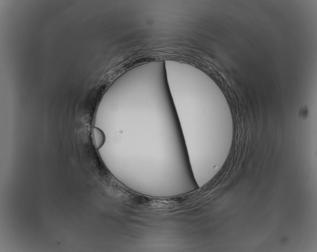 X0000090990707200708021204